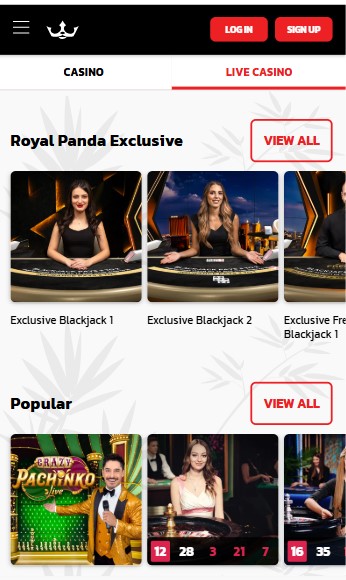 Royalpanda livecasino
