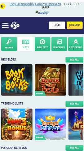 Slots Playojo